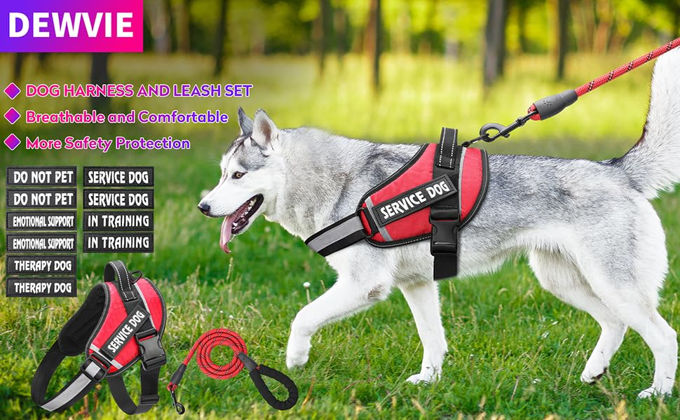 Dog Vest Harness and Leash