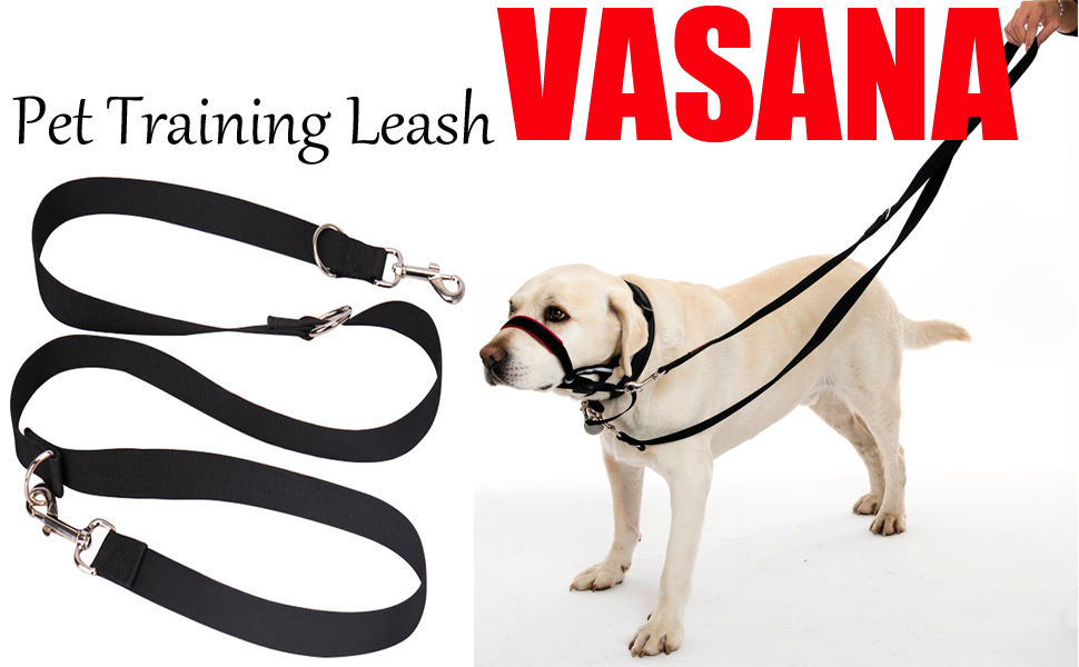 pet training leash